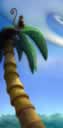 Singe